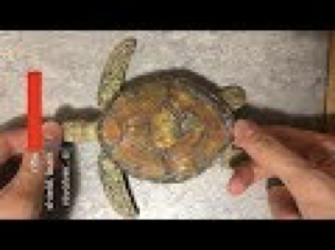 //www.youtube.com/watch?v=piYnd_wYlT8).