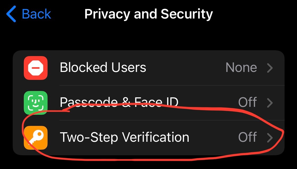 From the Privacy and Security menu click Two-Step Verification to start the process. AN image from Telegram. Two-step verification is highlighted.