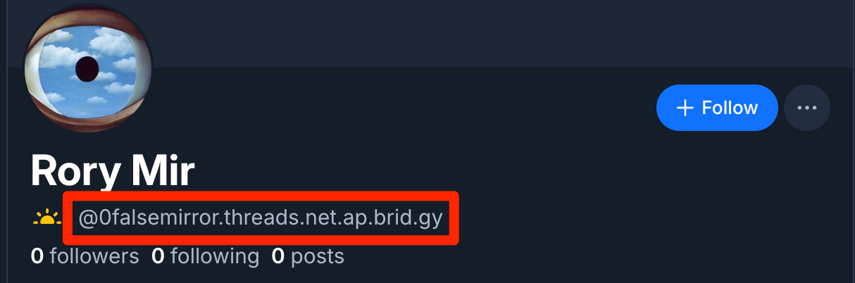 ejemplo de un perfil de usuario de threads visto desde bluesky
